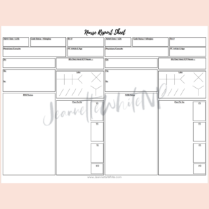 Nurse Report Sheet 2 Patients